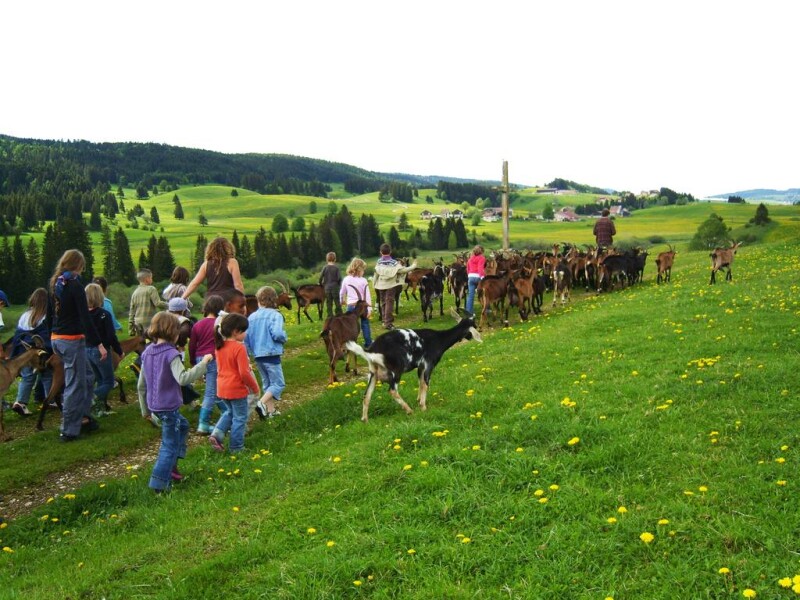 ferme_educative_la_batailleuse_png_1600x900_q70_crop