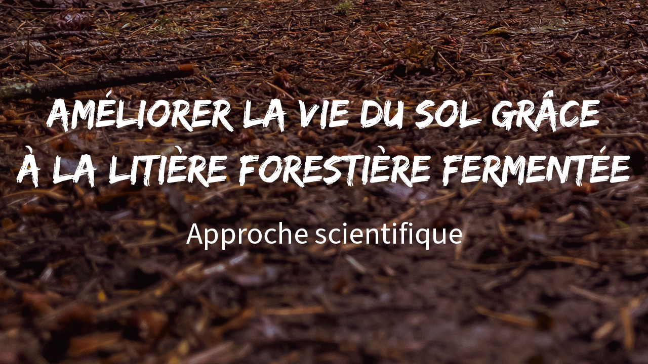 couv-yt-live-webinaire-lifofer-1-intro