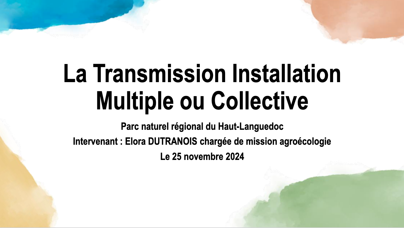 capture-decran-2025-01-03-a-160433