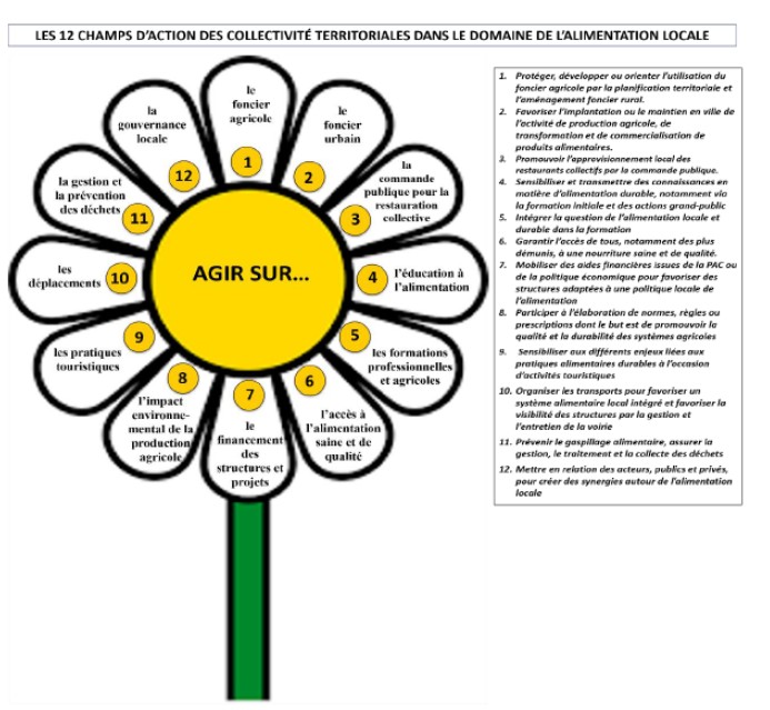 12-champs-daction-ct