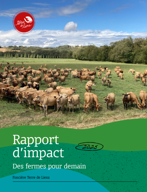 couverture-rapport-dimpact-2025ftdl