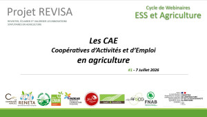 page-n1-webinaire-7-juillet